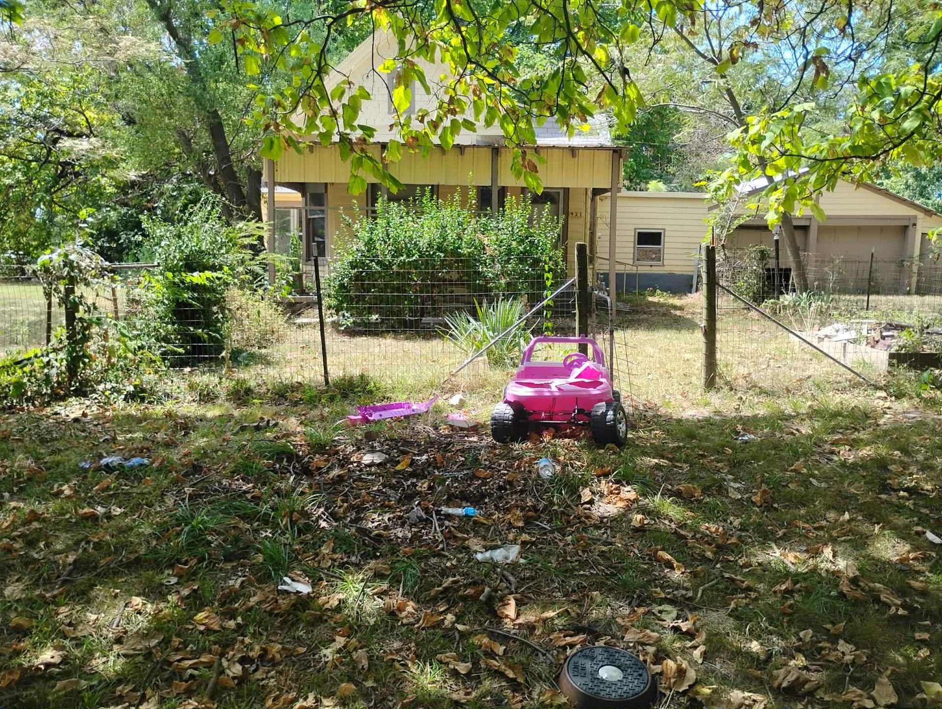 Image 4